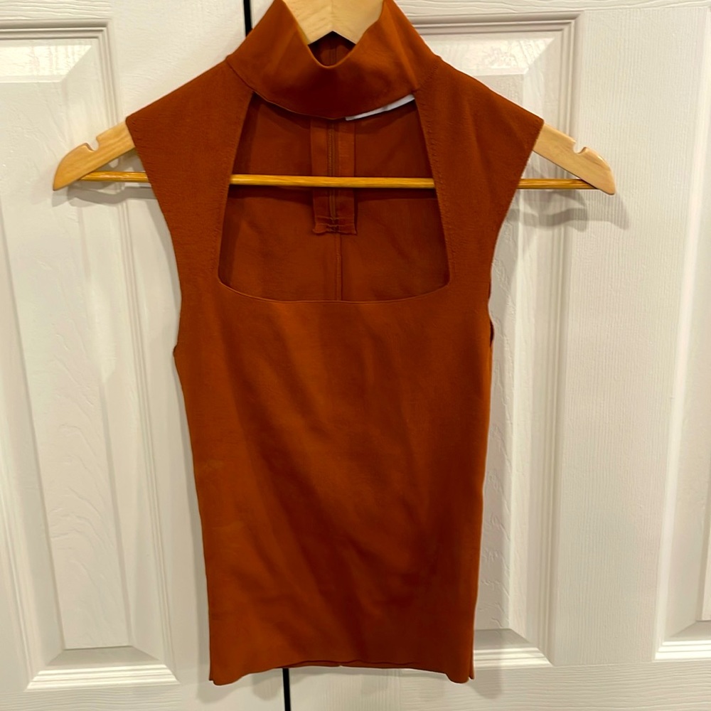 Zara sweater rust in color